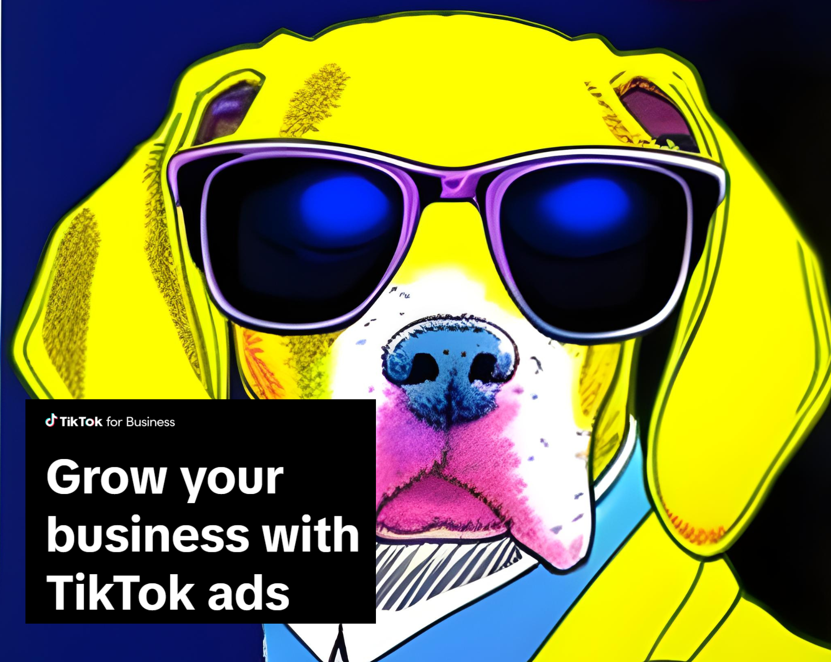 TikTok Ads